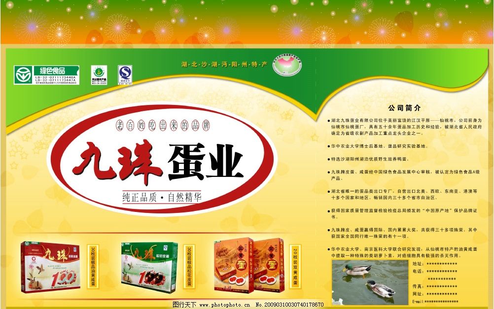 九珠蛋业绿色食品广告设计 皮蛋与咸蛋的魅力呈现